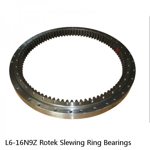 L6-16N9Z Rotek Slewing Ring Bearings #1 image