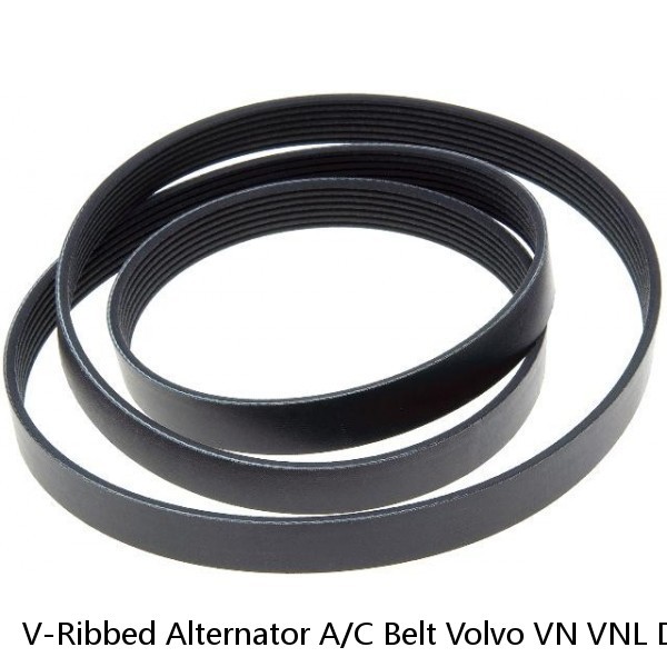 V-Ribbed Alternator A/C Belt Volvo VN VNL D13 Engine 20545619 8PK1601 #1 image